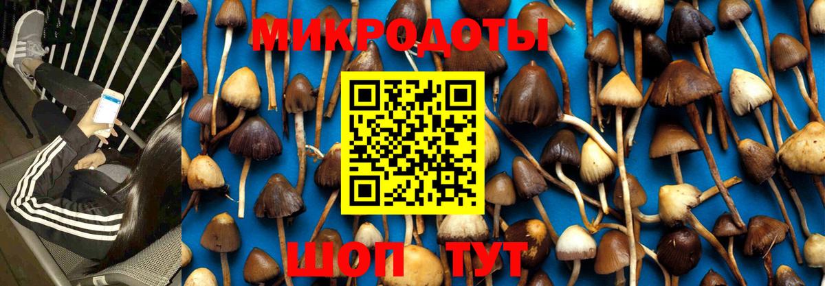 Галлюциногенные грибы прущие грибы Гусиноозёрск